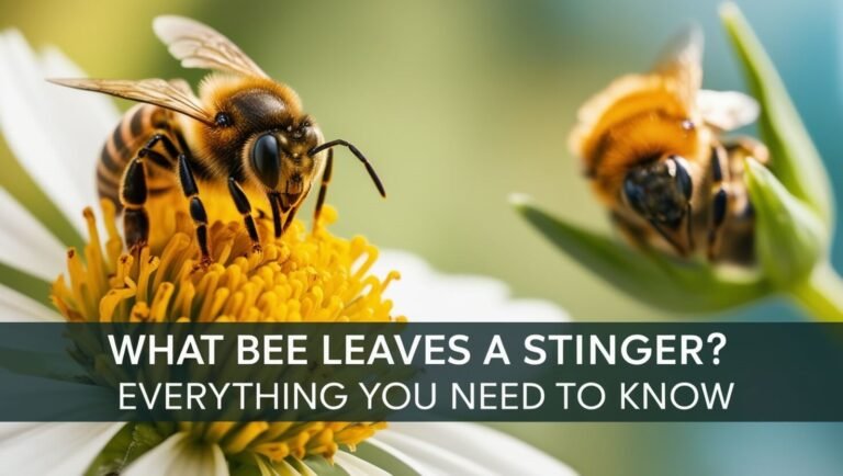 What Bee Leaves a Stinger? Everything You Need to Know