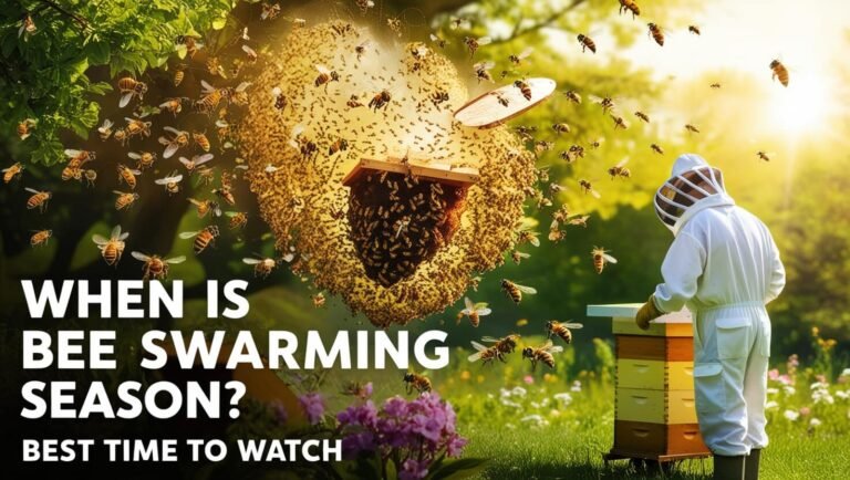 When Is Bee Swarming Season? Best Time to Watch