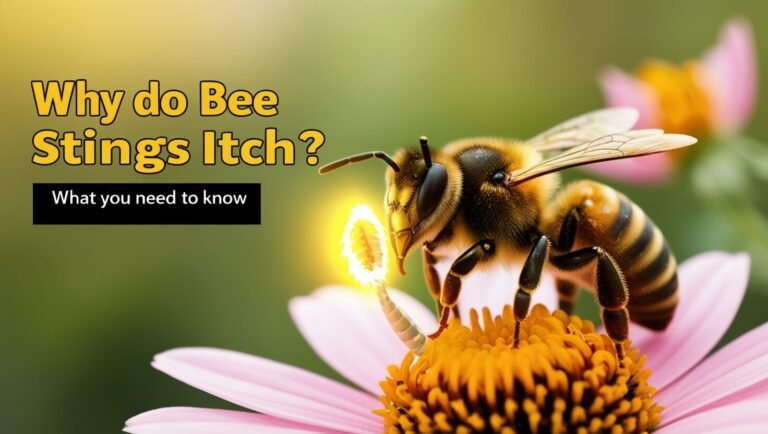 Why Do Bee Stings Itch: What You Need to Know